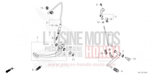 PEDALE XL750P de 2024